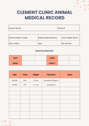 free custom veterinary surgery discharge instructions template doc