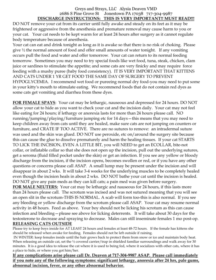 veterinary surgery discharge instructions template  example
